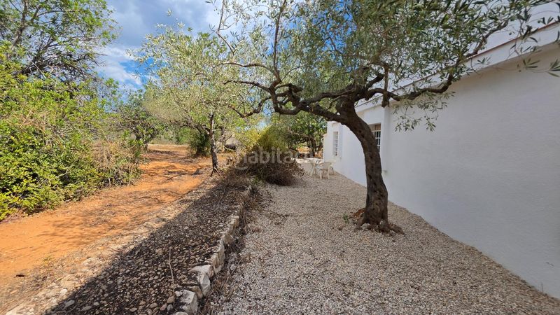 Foto 5a645e93-1e90-4d36-b296-5eec6f1f6bca. Masía magnífica finca rústica de 14.000 m2 con casa legalizada, luz de red y pozo propio a 5 km del mar en Perelló (El)