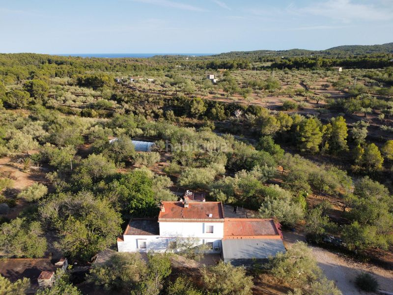 Foto 7da8083e-b957-4769-9d63-904386437295. Masía magnífica finca rústica de 14.000 m2 con casa legalizada, luz de red y pozo propio a 5 km del mar en Perelló (El)