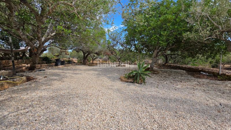 Foto 995d86b0-bd70-4b70-8175-7d8c6c2874fc. Masía magnífica finca rústica de 14.000 m2 con casa legalizada, luz de red y pozo propio a 5 km del mar en Perelló (El)