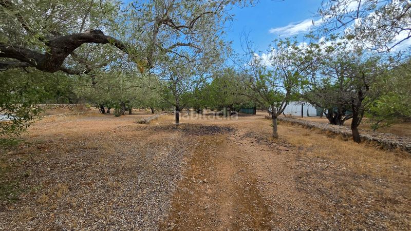 Foto a812e664-e415-4c8d-819c-179475ab8676. Masía magnífica finca rústica de 14.000 m2 con casa legalizada, luz de red y pozo propio a 5 km del mar en Perelló (El)