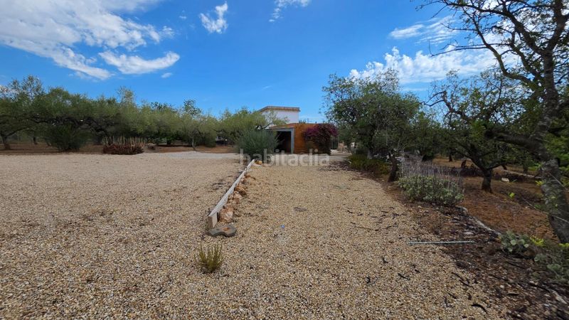 Foto ab7e136e-2d3d-4993-9476-6106ddefa4a2. Masía magnífica finca rústica de 14.000 m2 con casa legalizada, luz de red y pozo propio a 5 km del mar en Perelló (El)