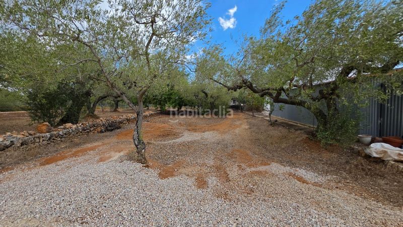 Foto ac3d1ff5-9b4f-4873-a3c4-abfb25086d96. Masía magnífica finca rústica de 14.000 m2 con casa legalizada, luz de red y pozo propio a 5 km del mar en Perelló (El)