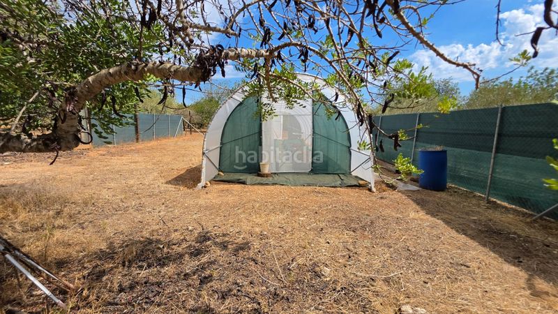 Foto b27c0042-af2a-401a-b3be-1163c2a7e5e8. Masía magnífica finca rústica de 14.000 m2 con casa legalizada, luz de red y pozo propio a 5 km del mar en Perelló (El)