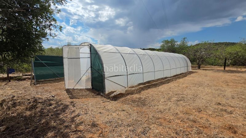 Foto bdbc7351-3dfd-4344-a7b2-7e0b72e68481. Masía magnífica finca rústica de 14.000 m2 con casa legalizada, luz de red y pozo propio a 5 km del mar en Perelló (El)