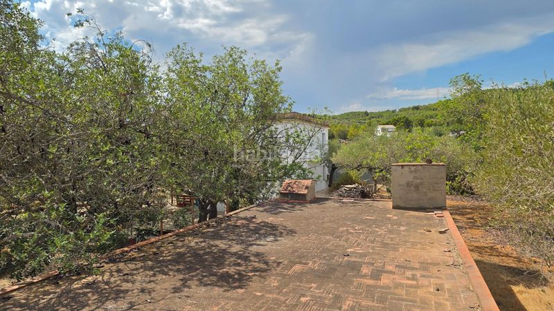 Foto c52c55df-fa92-4fcc-9237-217d6c4e6f8f. Masía magnífica finca rústica de 14.000 m2 con casa legalizada, luz de red y pozo propio a 5 km del mar en Perelló (El)