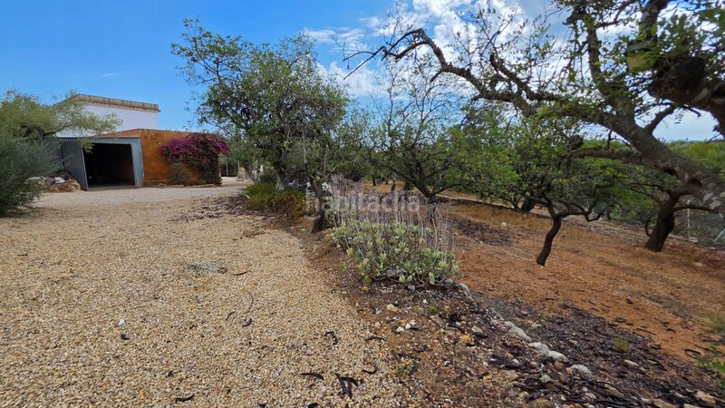 Foto e08c729a-514d-42c7-9c73-afcd297427dc. Masía magnífica finca rústica de 14.000 m2 con casa legalizada, luz de red y pozo propio a 5 km del mar en Perelló (El)