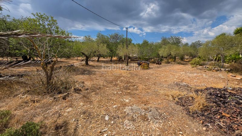 Foto eadf728f-6226-4e56-b188-f092954be16f. Masía magnífica finca rústica de 14.000 m2 con casa legalizada, luz de red y pozo propio a 5 km del mar en Perelló (El)