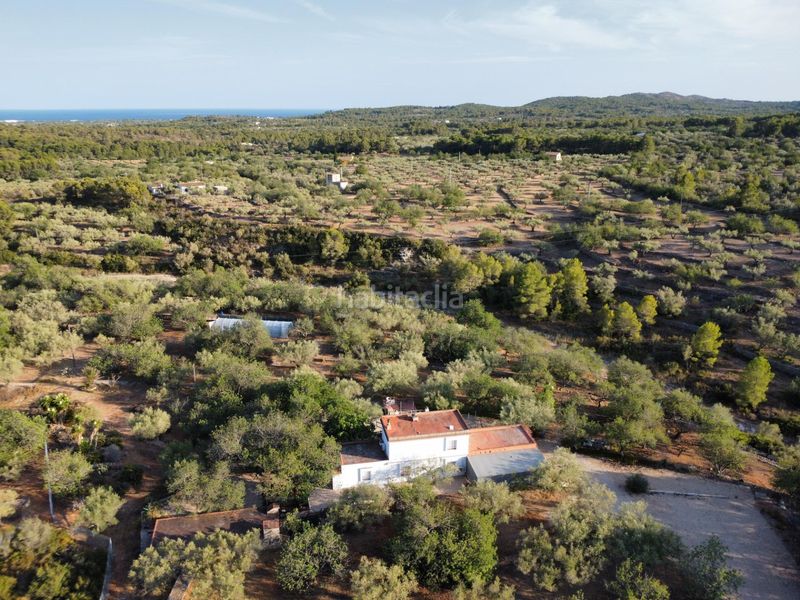 Foto f654c95e-a17e-45ce-b832-0b2ba850ca41. Masía magnífica finca rústica de 14.000 m2 con casa legalizada, luz de red y pozo propio a 5 km del mar en Perelló (El)
