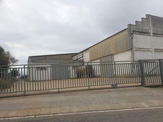 Rent Industrial building  Cami ral. Nave tipo c con puentes grúa