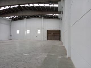 Nau industrial  Moia. Nave impecable
