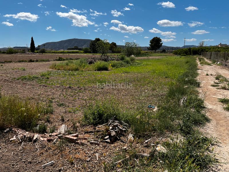 Foto 4a3f4aeb-e520-4fba-bdbc-73840055428d. Fondo rustico in vereda de las acacias 14 in Orihuela ciudad Orihuela