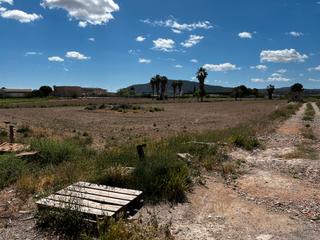Finca rústica a Vereda de las acacias 14. Terreno rustico