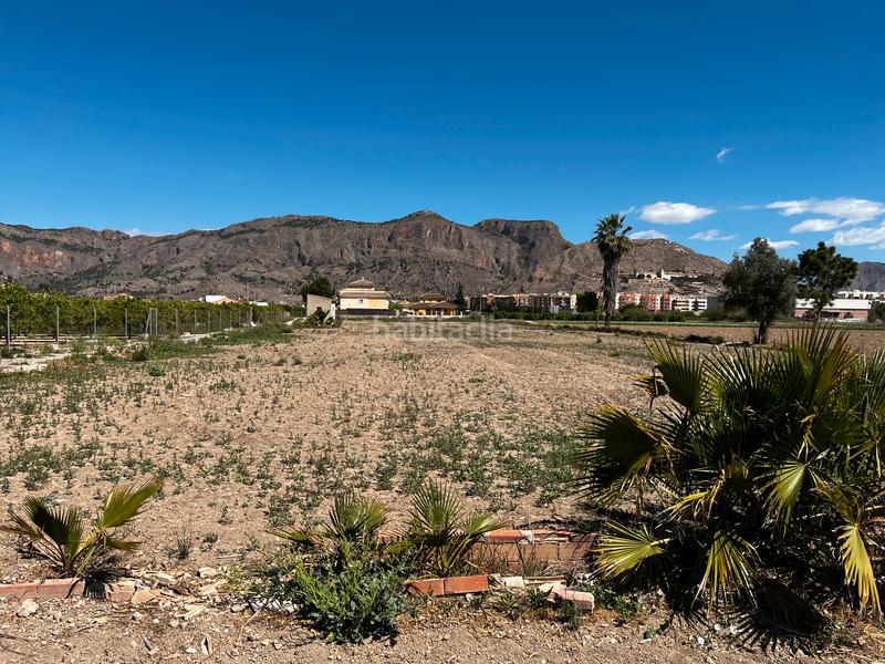 Foto f697b8c7-822d-44ff-ab17-f08f127cf01f. Fondo rustico in vereda de las acacias 14 in Orihuela ciudad Orihuela