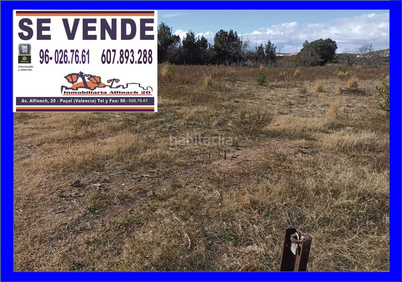 Foto e8620cd0-ab5c-431d-8686-15af594b3ddc. Fondo rustico in Puçol ciudad Puçol