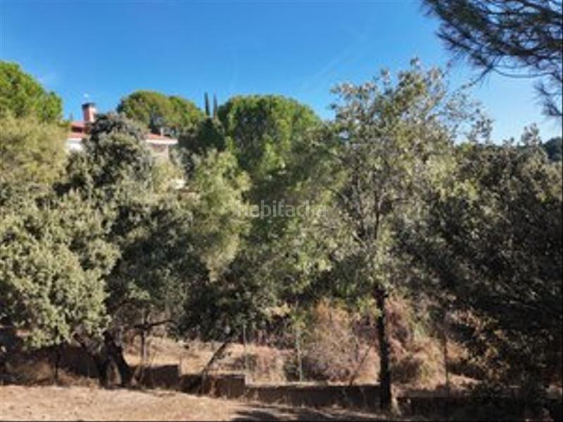 Foto 2d8fb733-d232-42b0-9af7-e854c761b279. Chalet ¡descubre el lujo y la tranquilidad en este espectacular chalet independiente, ubicado en la exclusiva urbanización molino de hoz! en Rozas de Madrid (Las)