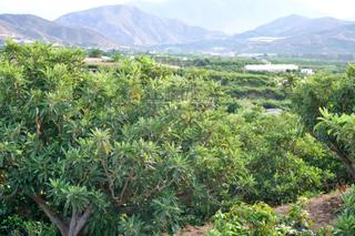 Finca rústica  Pago matagallares pol. 16 parcela 133. Finca agrícola en producción