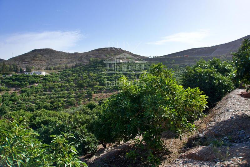 Foto 07acef2b-010f-43d1-b30d-15f0833da7fa. Finca rústica a Los Tablones - La Garnatilla Motril