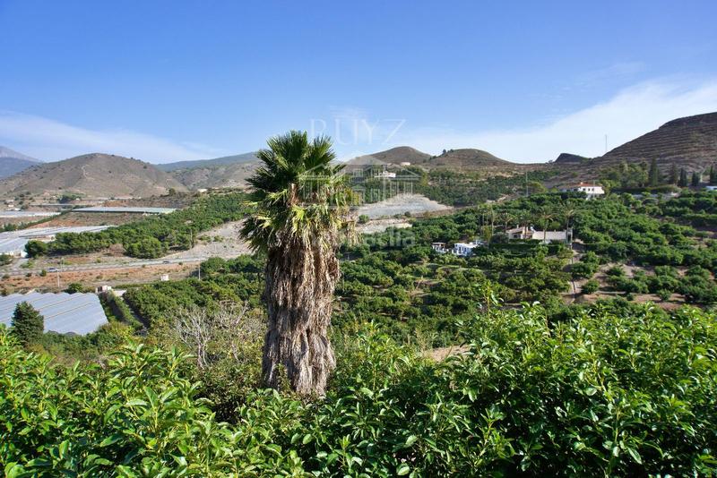 Foto 28722d85-7164-4683-afe1-621d06ec3c87. Finca rústica a Los Tablones - La Garnatilla Motril