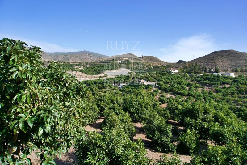 Foto 857d542b-d5cd-4657-b73b-df43208fd8e7. Finca rústica a Los Tablones - La Garnatilla Motril