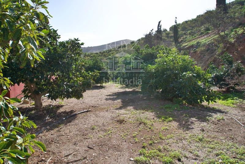 Foto 8e918c98-c547-4208-bae7-e608e9ebda49. Finca rústica a Los Tablones - La Garnatilla Motril
