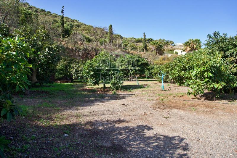 Foto 910e9e6c-a0b2-4e4b-89eb-89ee36173887. Finca rústica a Los Tablones - La Garnatilla Motril