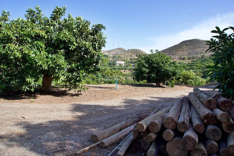 Foto a02c4736-cadd-4790-911c-61774e1a176a. Finca rústica a Los Tablones - La Garnatilla Motril