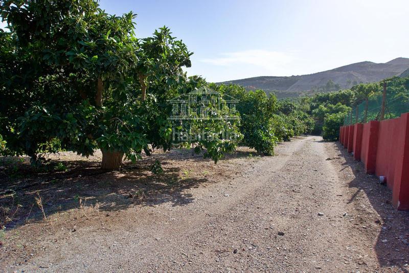 Foto a99aed4a-930f-4593-9f08-aa5929948bf5. Finca rústica a Los Tablones - La Garnatilla Motril