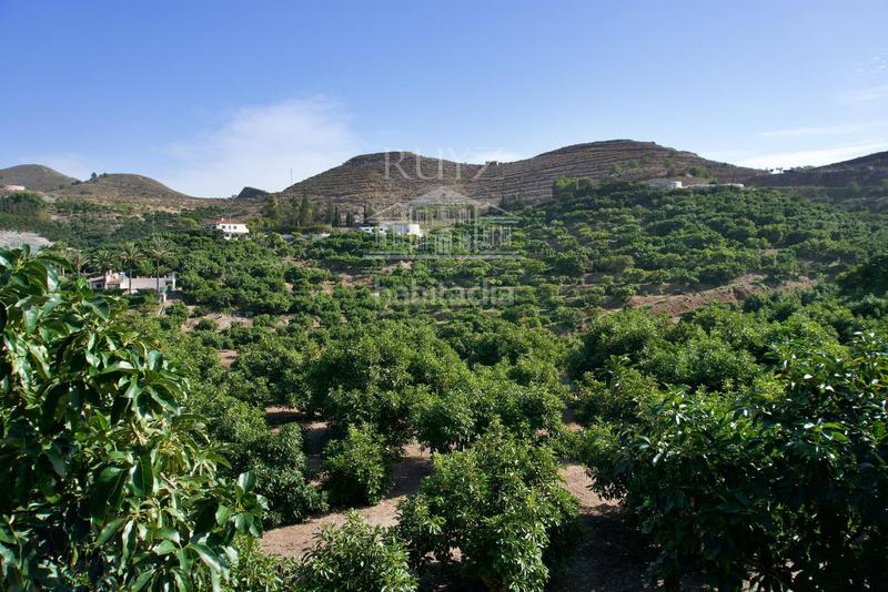 Foto d518d218-b2b9-4170-a9c7-371c01b67768. Finca rústica a Los Tablones - La Garnatilla Motril