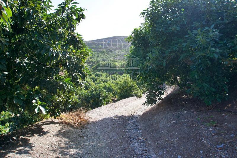 Foto f15facbd-6ee7-43ec-a7b9-9847e4c3bcf8. Finca rústica a Los Tablones - La Garnatilla Motril