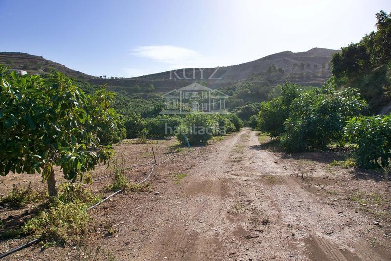 Foto f4b9ceda-1765-47c1-8094-bc2468f2df33. Finca rústica a Los Tablones - La Garnatilla Motril