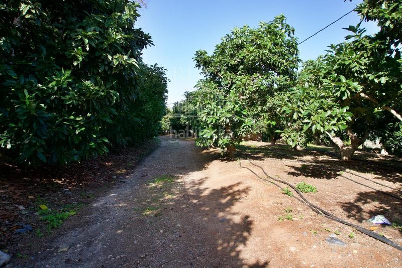 Foto ff3ddacb-fdee-4e8c-b5b0-5764c4407b37. Finca rústica a Los Tablones - La Garnatilla Motril