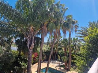 Xalet a Cuatro Pinos - El Carmen. Tu paraiso en el puerto de santa maria