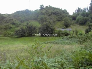 Terreny residencial a Carretera a las cuevas 000. Preciosa finca en pillarno con agua y luz