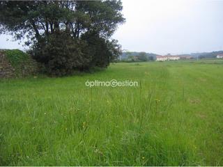 Terreny residencial  Barredo. Finca rustica en venta en gozón edificable