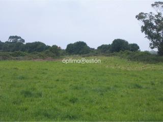 Terreny residencial  Go-13. Finca rustica en venta en gozón
