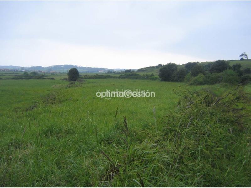 Foto 5791331b-b0f6-4bbf-8db1-082e8e54d838. Terreny residencial a barredo 35 a Bocines-Nembro-Cardo Gozón