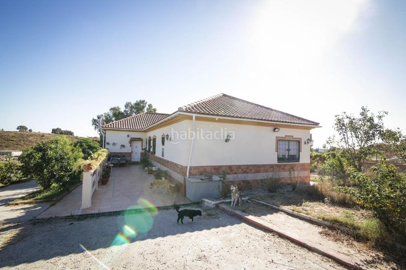 Foto 1adcefdc-6afb-4102-b366-007e6b9bce39. House in Puebla del Río (La)