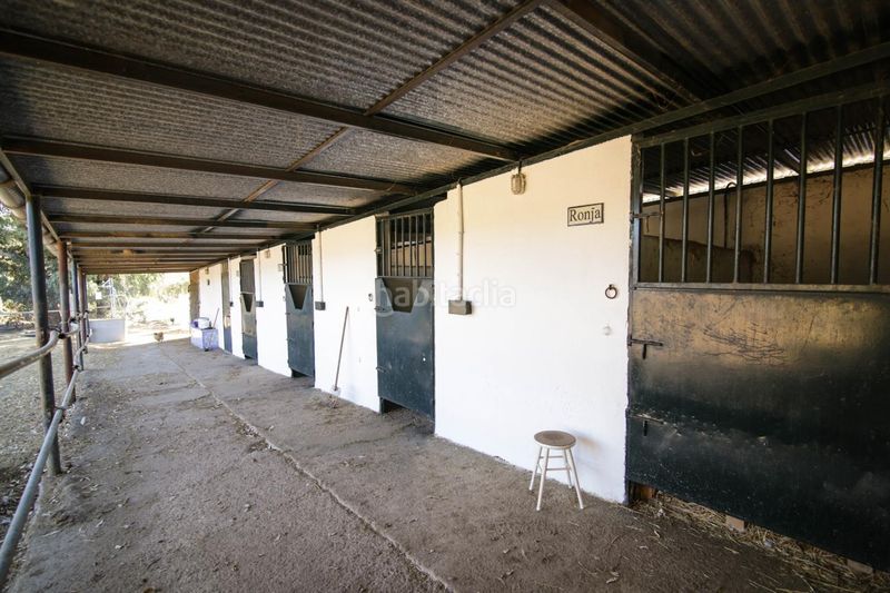 Foto d2ea9917-d8a4-41b6-a46a-d8954504d2bc. House in Puebla del Río (La)