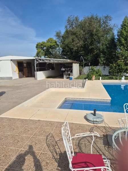 Foto 2d9e6863-ee71-4e82-826f-c2f24dfdcf92. Casa amb piscina a Palomares del Río
