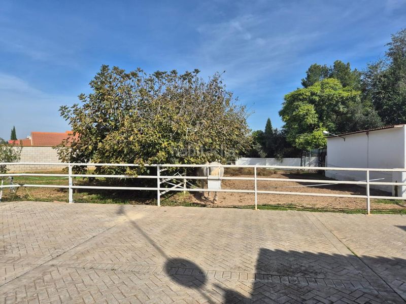 Foto daa5602d-b955-41d4-8f4b-9e639073bf94. Casa amb piscina a Palomares del Río