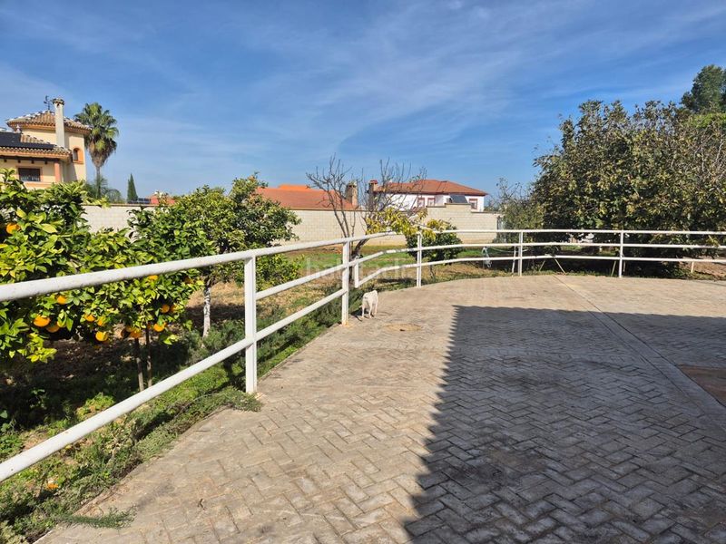 Foto f1a11733-5db9-43bf-a3a4-839a1862d3f6. Casa amb piscina a Palomares del Río