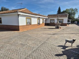 House in Palomares del Río