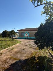 Bauernhof in Puebla del Río (La). Magnífica parcela de 1 hectárea con vivienda