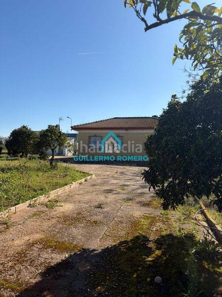 Foto 32d6d2cb-c9a0-456e-a543-025a19e18e89. Masia a Puebla del Río (La)