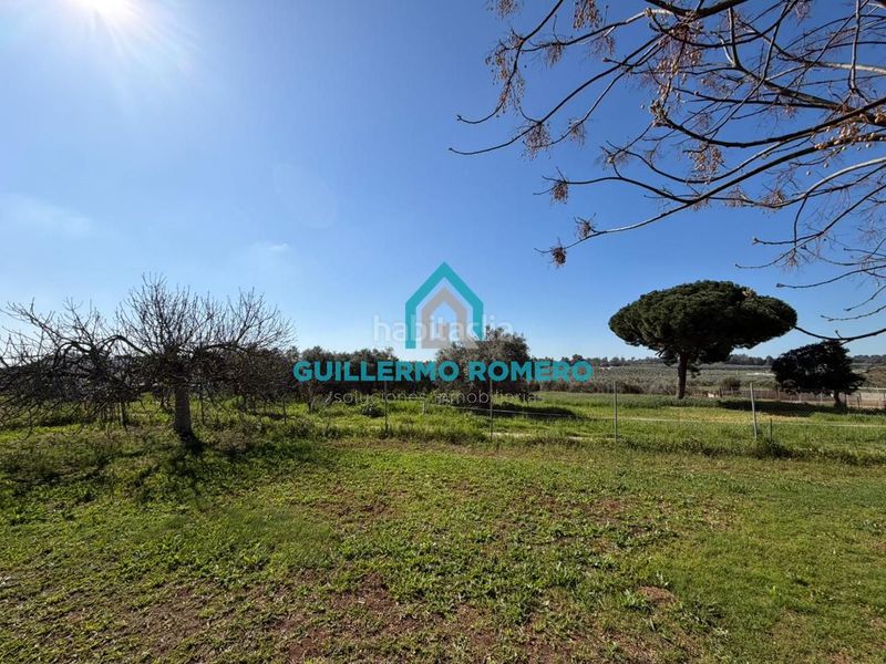 Foto 563b55a8-4cfb-4ccd-94c2-caf661b0788c. Masia a Puebla del Río (La)