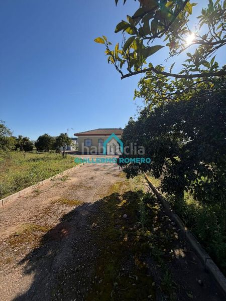 Foto 5cdbeebd-b442-462b-a0a4-e4372c02e585. Masia a Puebla del Río (La)
