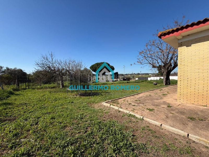 Foto d17745ee-1d53-4715-bf11-e246b0c56267. Masia a Puebla del Río (La)