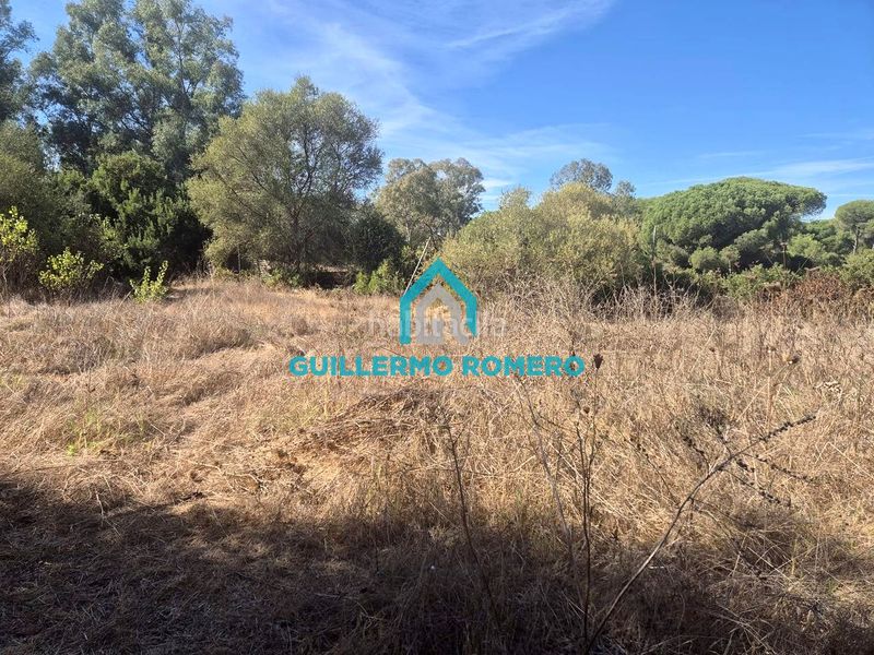 Foto 249e3a75-aa38-4ce5-b040-7ee5fa294c88. Masia a Puebla del Río (La)
