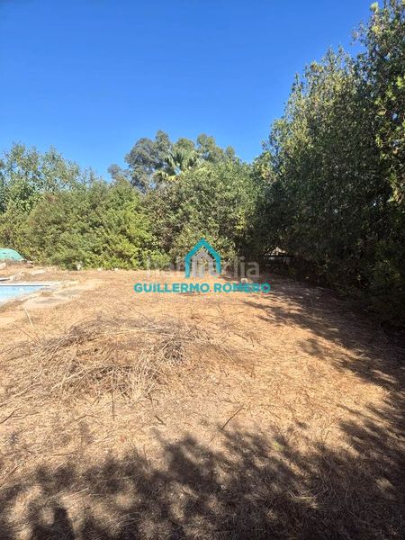 Foto 7d361d53-d8e5-4b9b-980d-8915c693cb06. Masia a Puebla del Río (La)