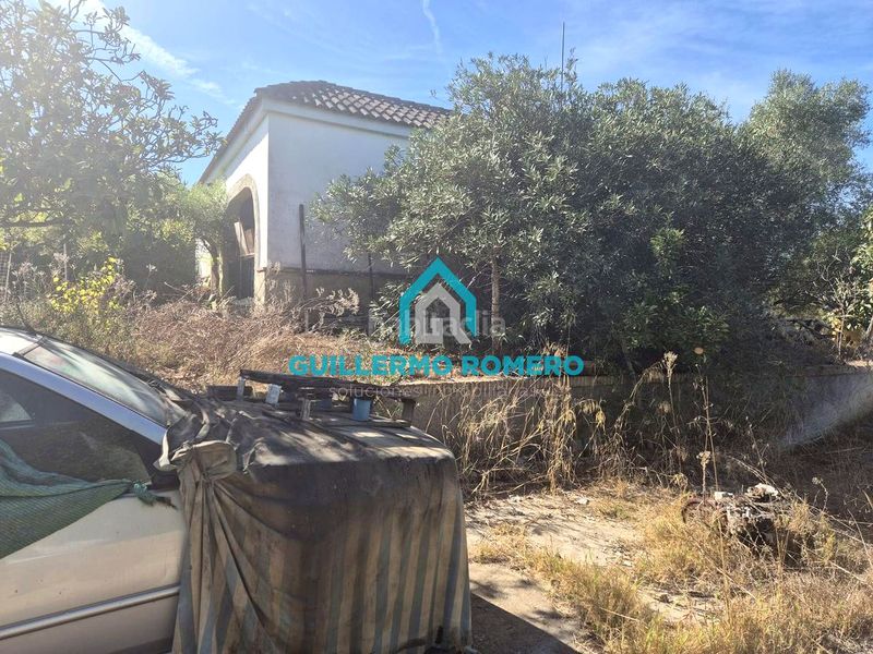 Foto c78db077-f691-4fae-a696-e52211ae39b6. Masia a Puebla del Río (La)